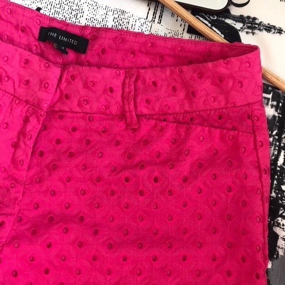 nwot // the limited embroidered eyelet shorts - Picture 3 of 8